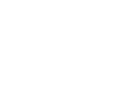 לוגו איזי ביז, ניסיון שמוביל רישוי עסקים באיזי