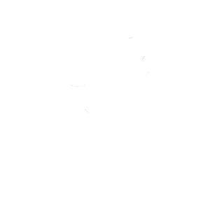 לוגו איזי ביז, ניסיון שמוביל רישוי עסקים באיזי
